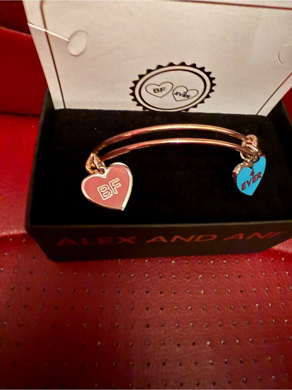 Alex and Ani Color Infusion Best Friends Duo Charm Expandable Bracelet